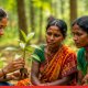 Maharashtra to Establish ‘Vananchal Vigyan Kendra’