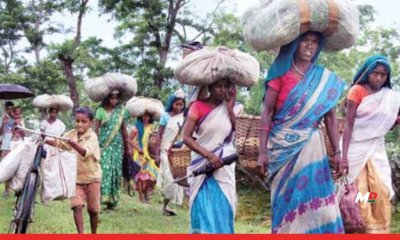 No More 10% Extra Allowance for Tribal Belt Infrastructure: Maharashtra Government Scraps Special Surcharge