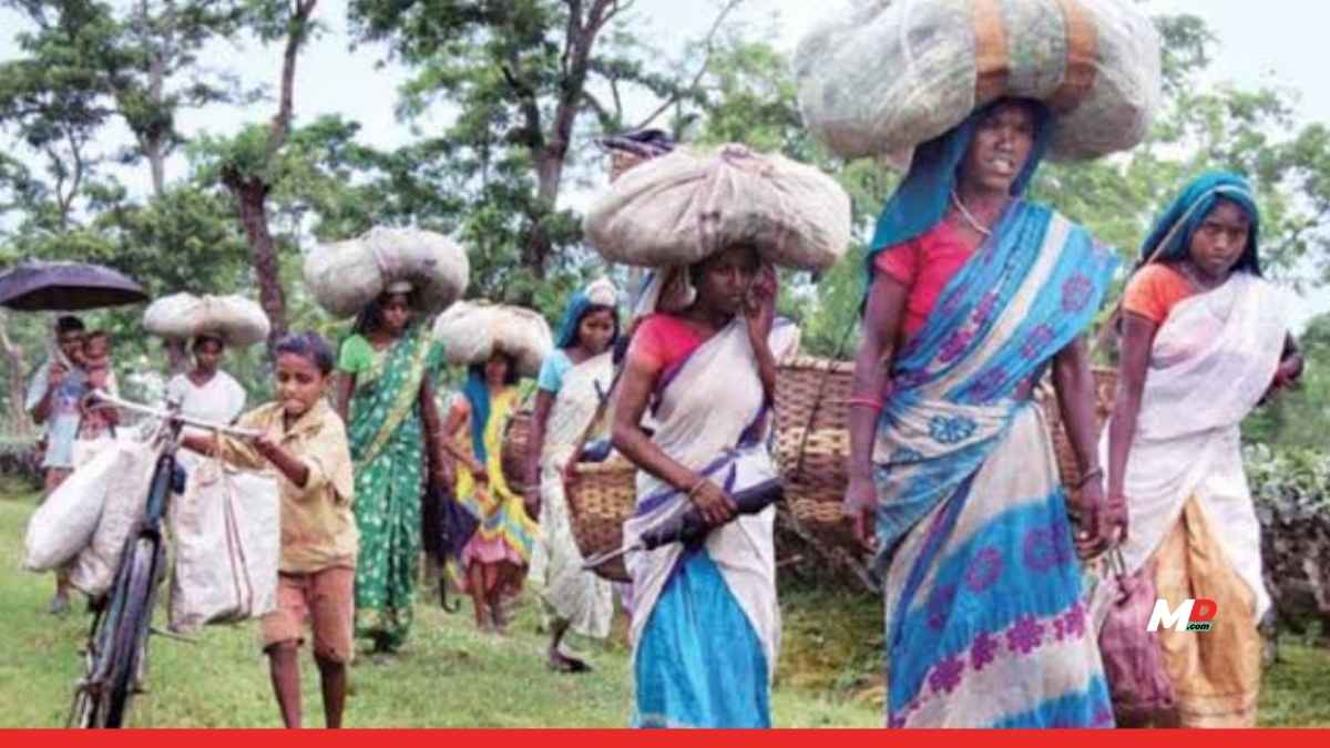 No More 10% Extra Allowance for Tribal Belt Infrastructure: Maharashtra Government Scraps Special Surcharge