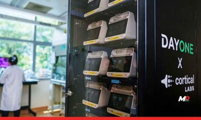 Singapore Unveils Data Centre Powered by Living Neurons