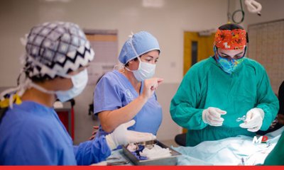 The Best Doctors Are Shaped by More Than Clinical Knowledge