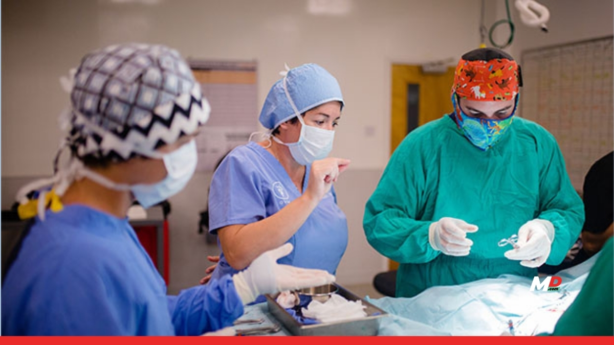 The Best Doctors Are Shaped by More Than Clinical Knowledge