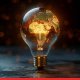 World Wastes Clean Power as Africa Lacks Electricity