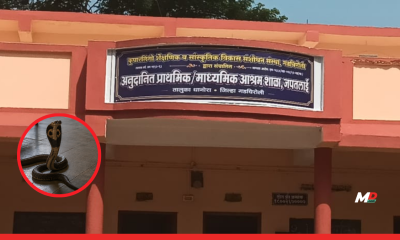 Tragedy in Gadchiroli: 3 Schoolgirls Die of Snakebite at Residential Ashram School; 3 Others Injured