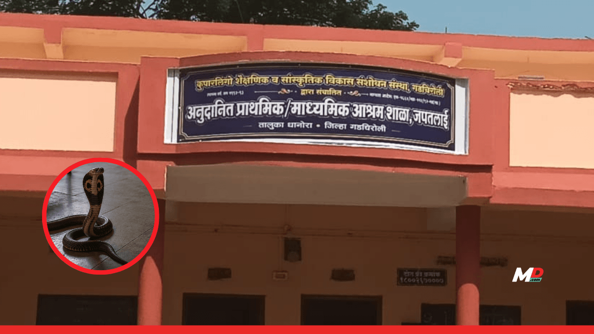 Tragedy in Gadchiroli: 3 Schoolgirls Die of Snakebite at Residential Ashram School; 3 Others Injured