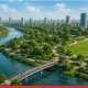 Grand Green Network to Rise in Dharavi: Mithi River Promenade to Feature 40,000 Trees