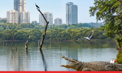 Ravindra Waikar Raises Illegal Constructions Near Powai, Pasapoli and Vihar Lakes in Lok Sabha