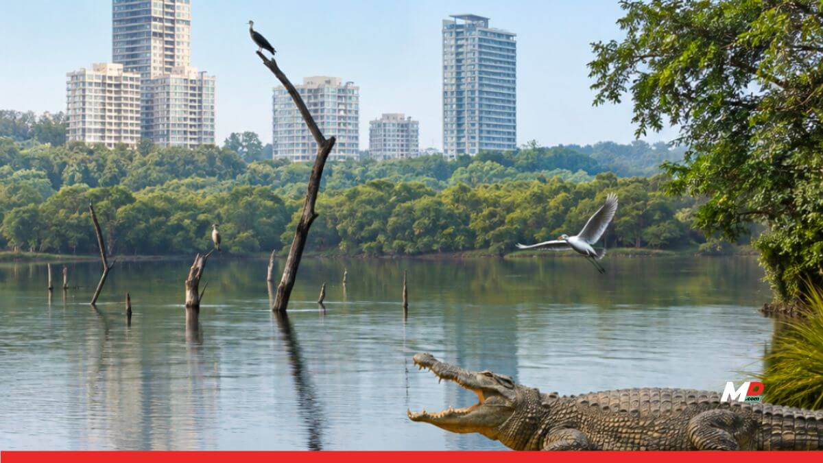Ravindra Waikar Raises Illegal Constructions Near Powai, Pasapoli and Vihar Lakes in Lok Sabha