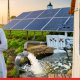 Free Daytime Power for All Farmers Soon; Dues-Free Certificates to Be Issued