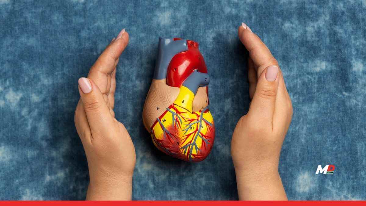 Why India’s Heart Disease Risk Is Hiding in Plain Sight