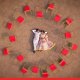 6 Experiences Couples Are Adding to Destination Weddings